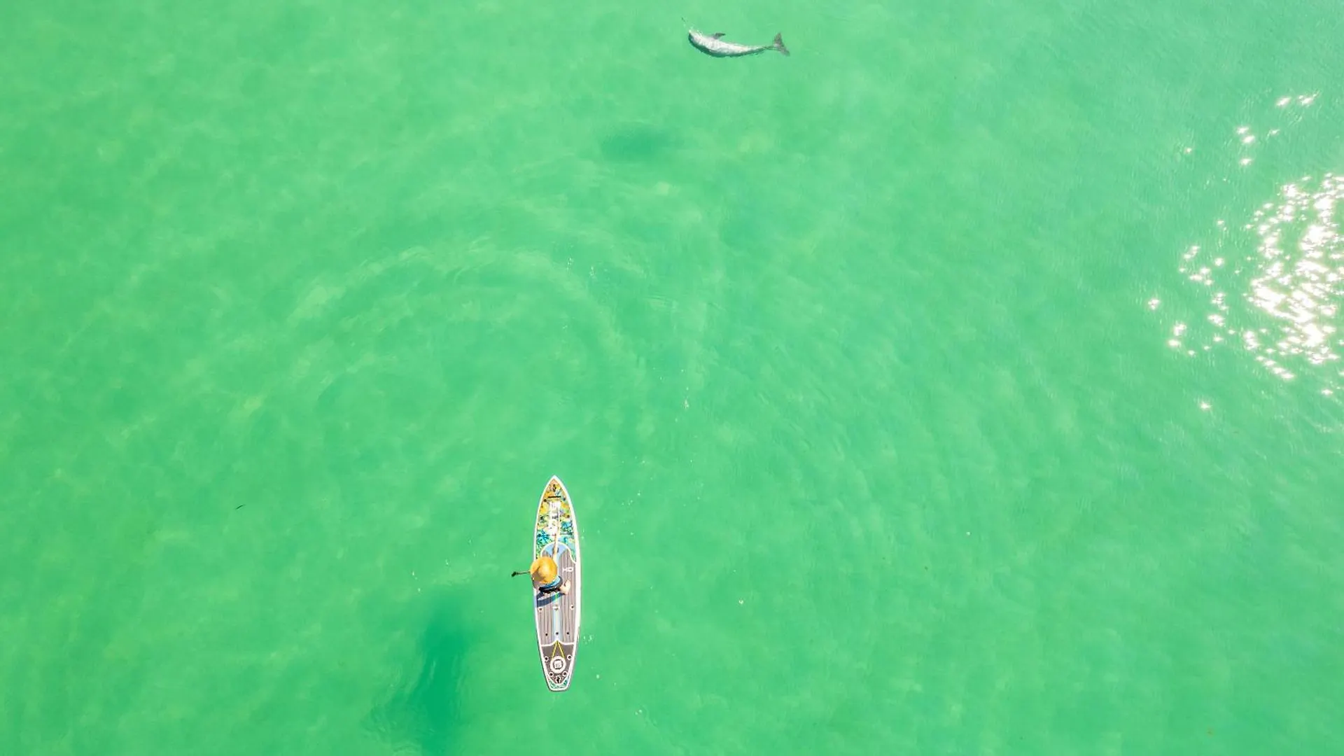 Apartment Dolphin Point 404A- By Holiday Isle Properties Destin United States